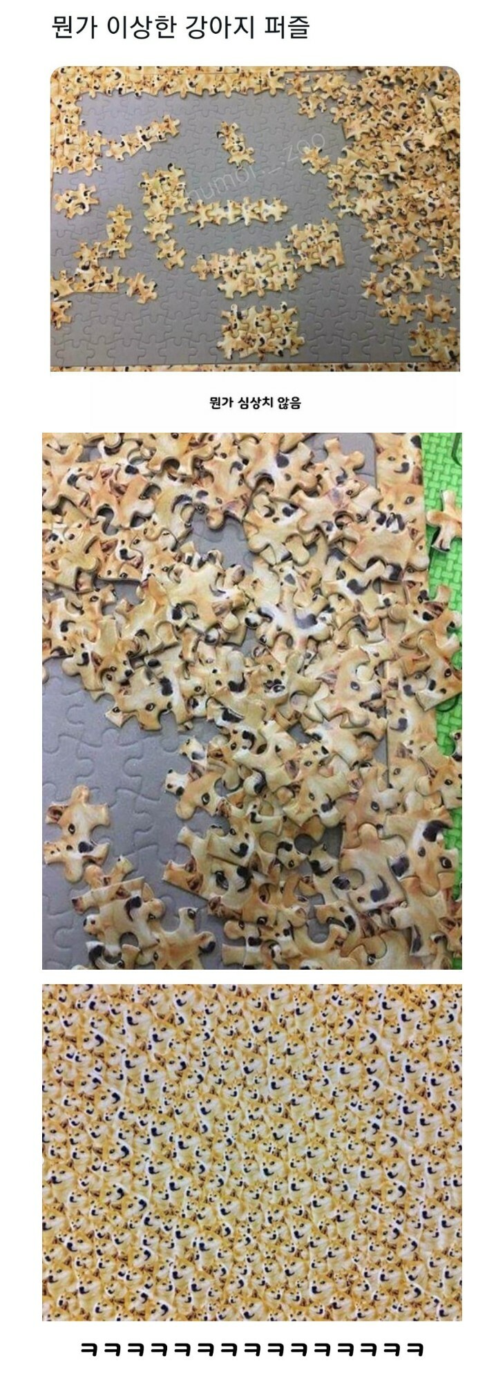 뭔가 이상한 강아지 퍼즐 | 인스티즈