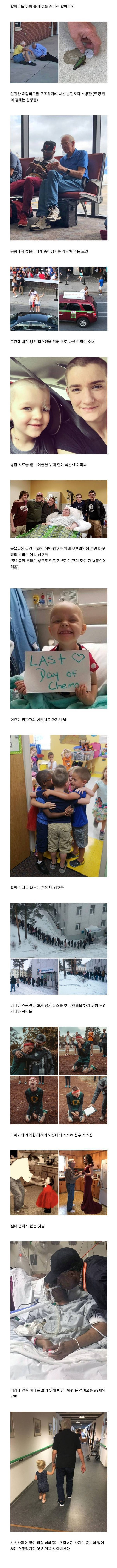 행복이 느껴지는 사진들 | 인스티즈