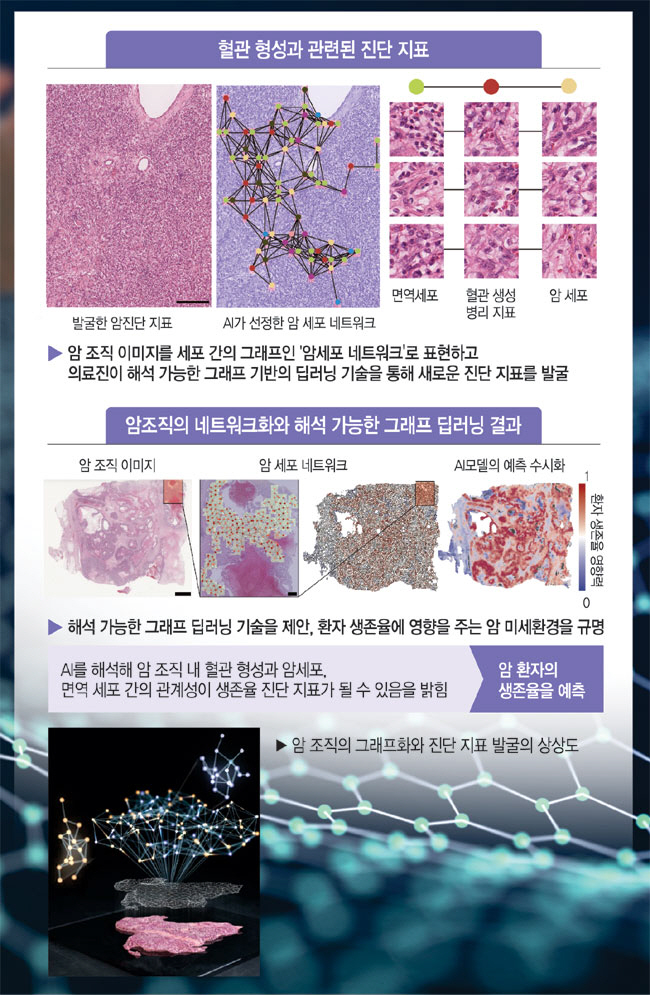 문경철 이미지