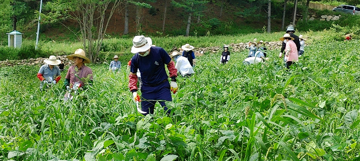 (주)선한농장 이미지