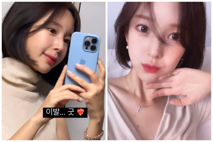 야옹이헤어 이미지