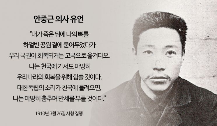 안장의사 이미지