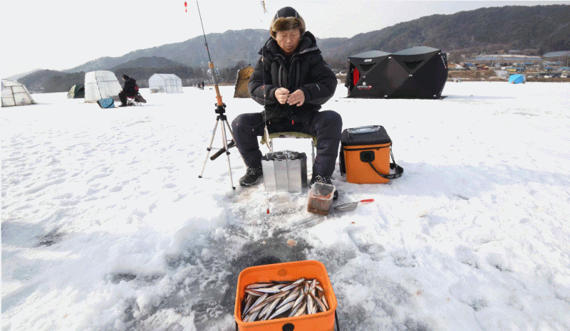 &nbsp;"3년 만에 돌아온 강원도 겨울 축제" 계묘년 검은토끼해 첫 주말, 얼음이 꽁꽁언 강원도 강이나 호수 위에는 산천어, 송어, 빙어 등 겨울 낚시를 즐기려는 강태공 및 관광객, 체험객들로 북적였다.(25장의 사진이 이어진다.)