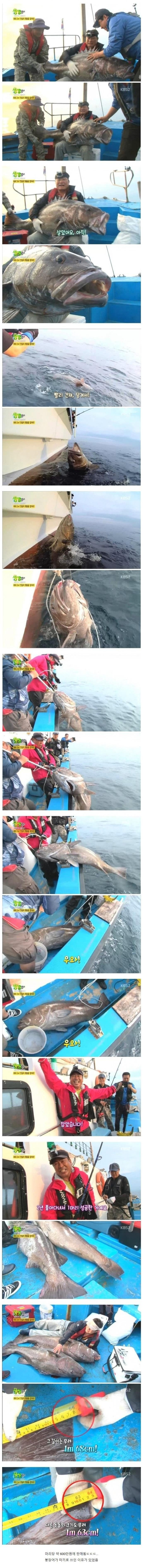 전설로 남은 생생정보통 낚시편 | 인스티즈