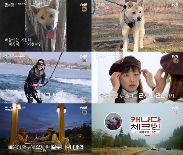 빼꼼이네 이미지