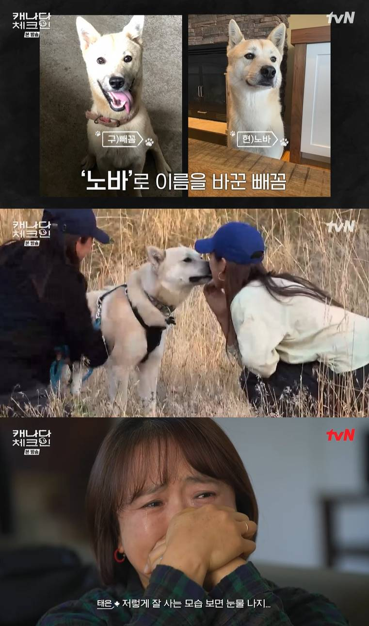 빼꼼이네 이미지