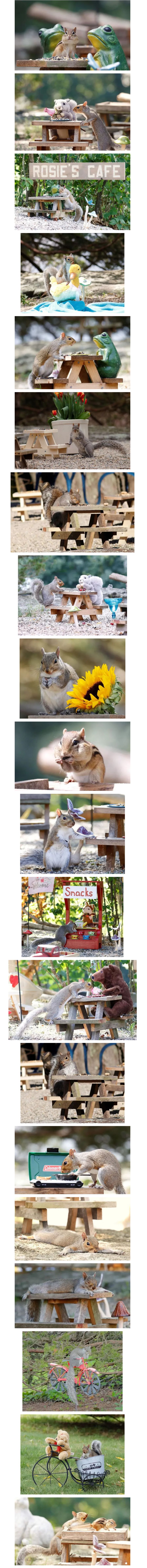 정원에 만든 작은카페, 단골손님 | 인스티즈