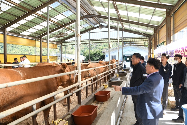 평창영월정선축산업협동조합 이미지
