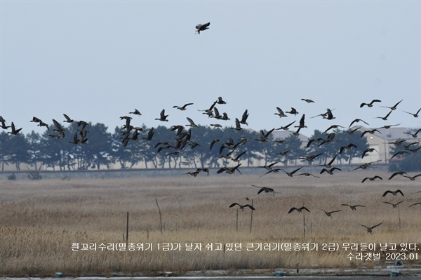 거대유통 이미지