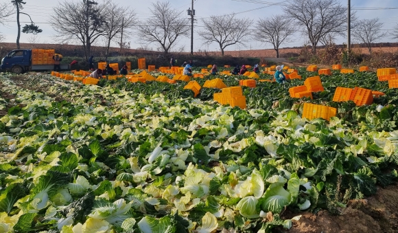 계절마다 이미지