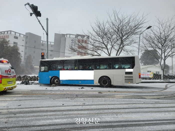제주동동 이미지