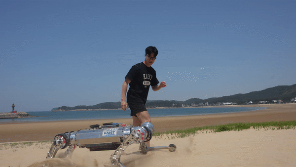 카이스트(KAIST) 기계공학과 황보제민 교수팀이 개발한 사족 로봇이 해변의 모래사장을 달리고 있다. 카이스트 제공