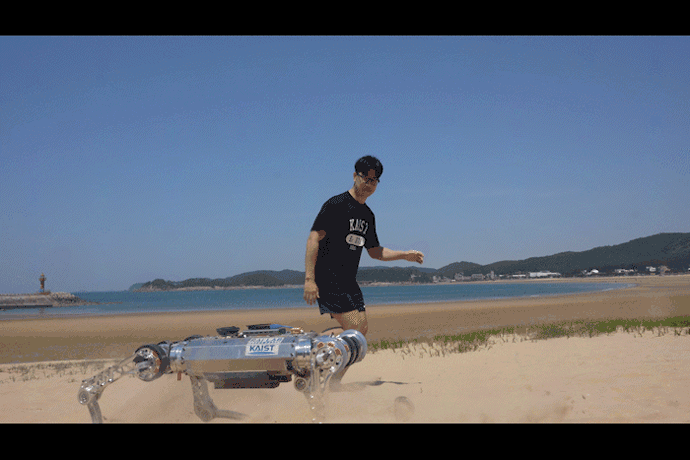 카이스트 사족보행 로봇 '라이보'가 사람 못지 않은 빠른 속도로 해변을 달리고 있다.[KAIST 제공]