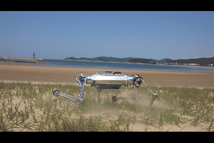 카이스트 사족보행 로봇 '라이보'가 빠른 속도로 해변을 달리고 있다.[KAIST 제공]