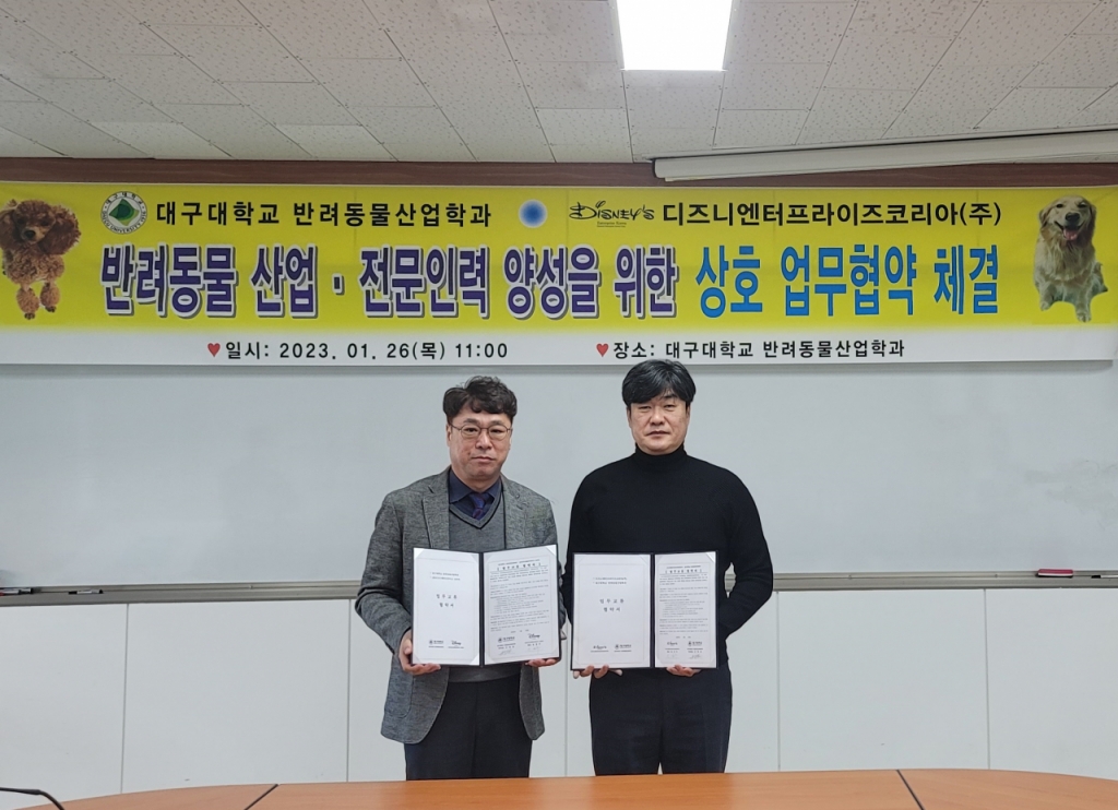 대구 엔터프라이즈 이미지