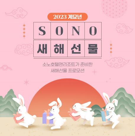 소노인터내셔널 이미지