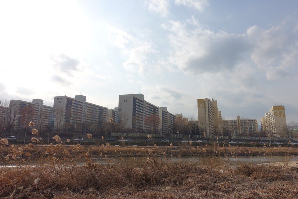 미노원 이미지