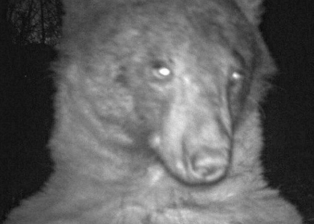 /사진= 미국 콜로라도주 볼더산간녹지공원 트위터