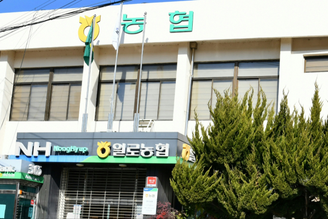 일로유통 이미지