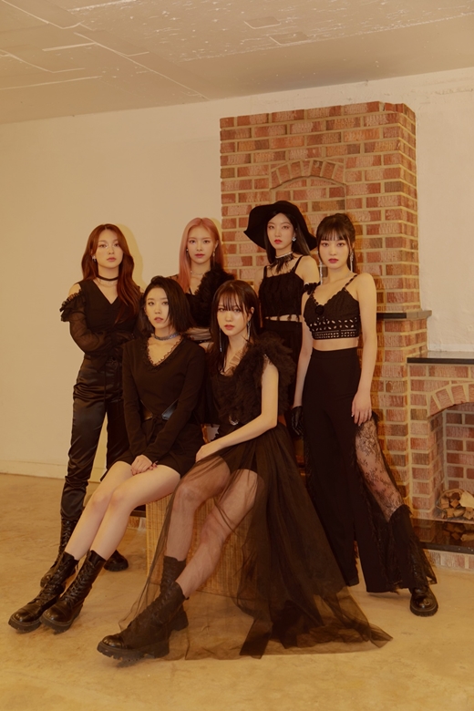 드림라이크 이미지