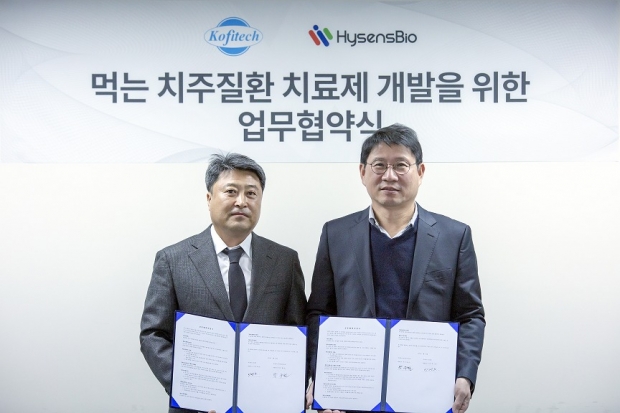 하이센스 이미지