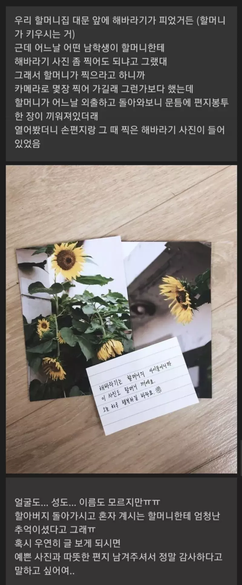 할머니집 해바라기를 사진찍은 학생 | 인스티즈