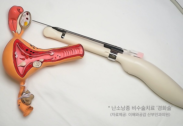 이해와공감산부인과의원 이미지