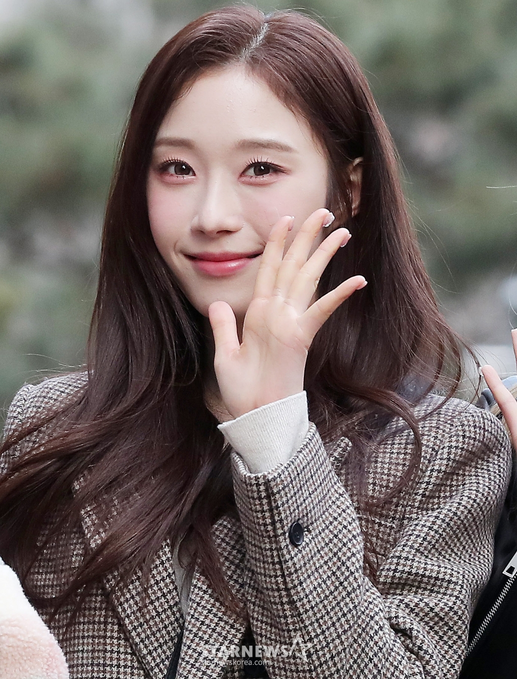 꽃이피었습니다 이미지