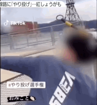 [틱톡·닛테레 갈무리]