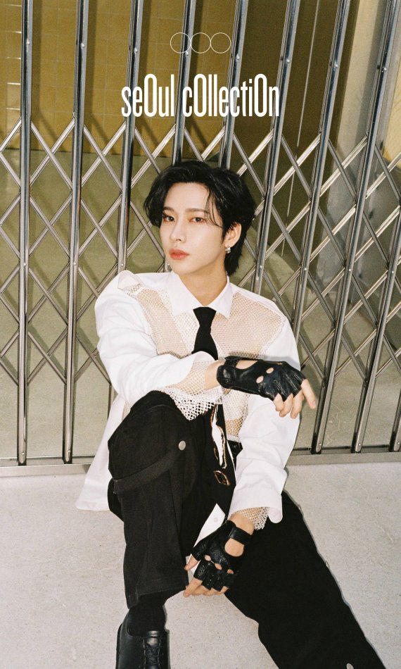 나인컬렉션 이미지