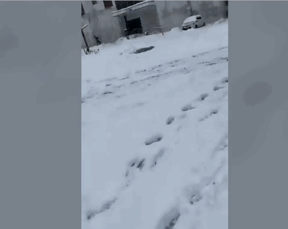 [서울=뉴시스] 튀르키예 지진으로 인해 힘없이 무너져내리고 있는 아파트, 해당 아파트는 '최신 내진 규제'를 따르고 있다 홍보했다 (사진출처: BBC 영상 캡처) 2023.02.10. *재판매 및 DB 금지 *재판매 및 DB 금지