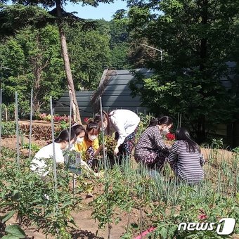 뉴스1
