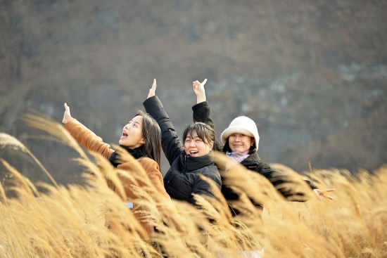 갈대숲 이미지