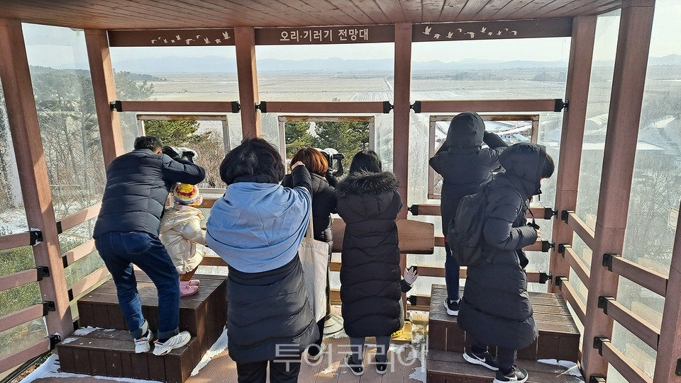 랜드숲 이미지