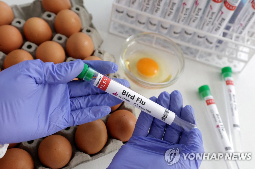 엘통신판매 이미지