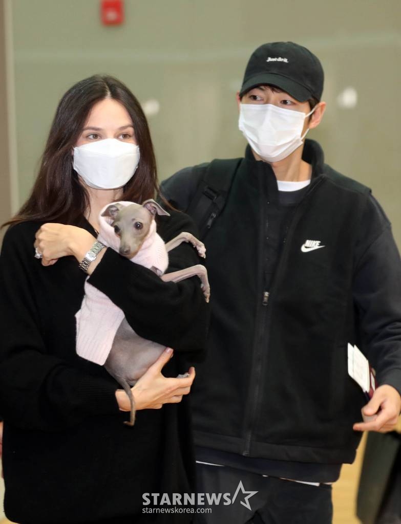 알케이티 이미지