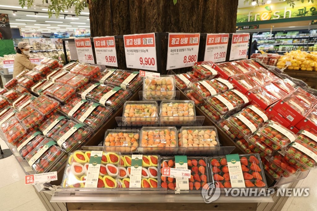 딸기탐탐 이미지