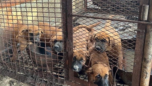 시가파크(주) 이미지
