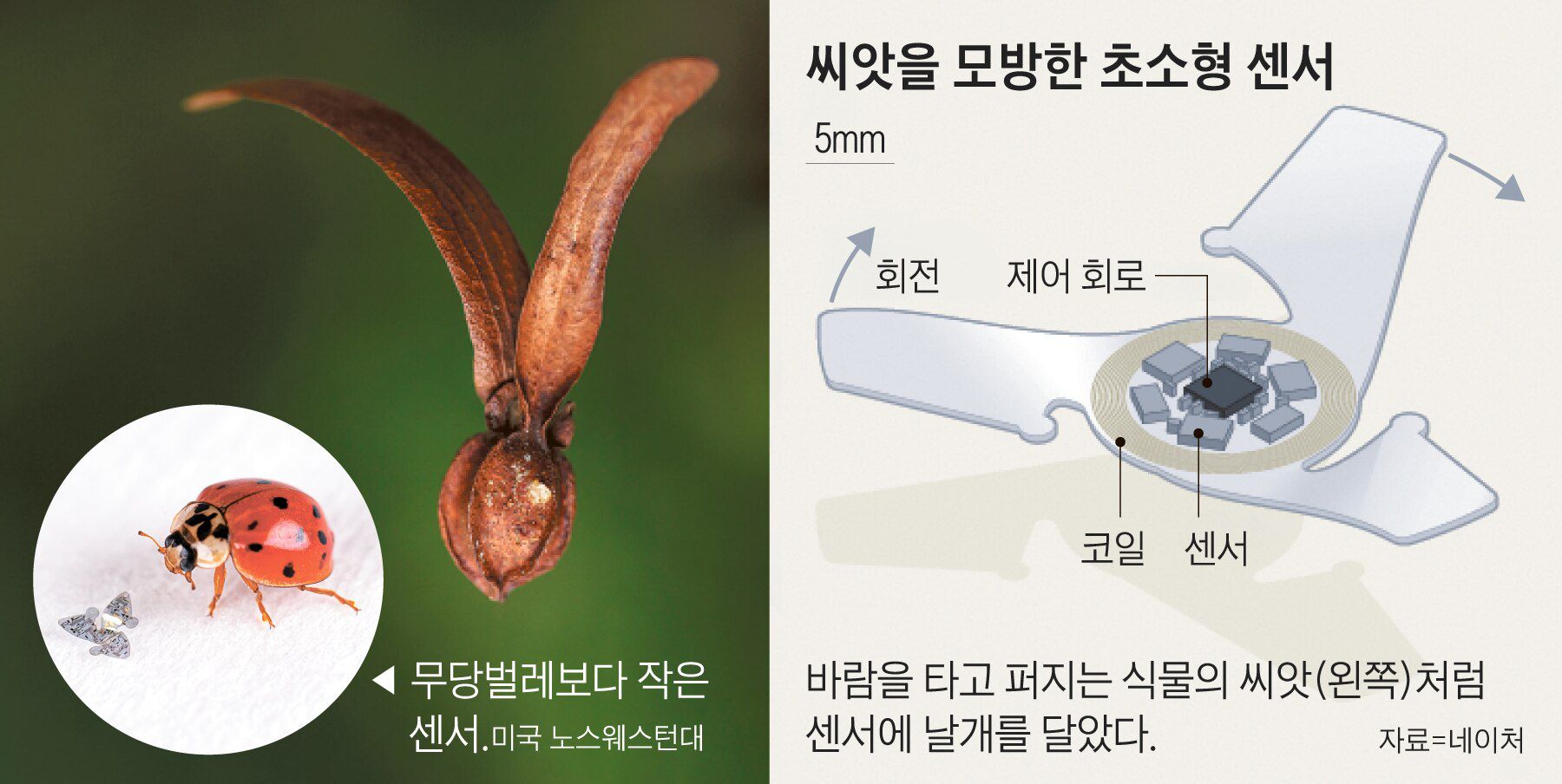 씨앗통신 이미지