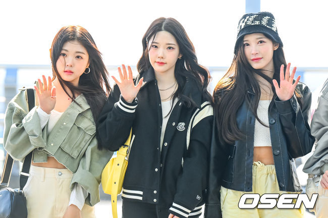 채원 이미지