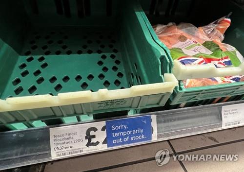 토마토마트 이미지