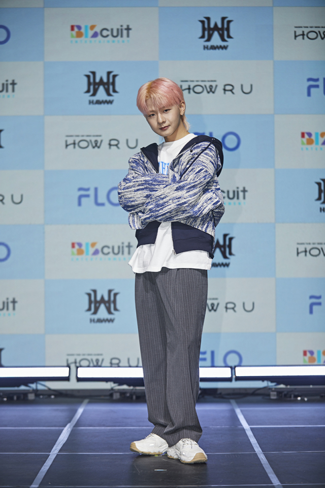 하우 이미지