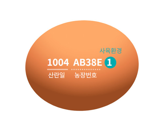 케이지유통 이미지