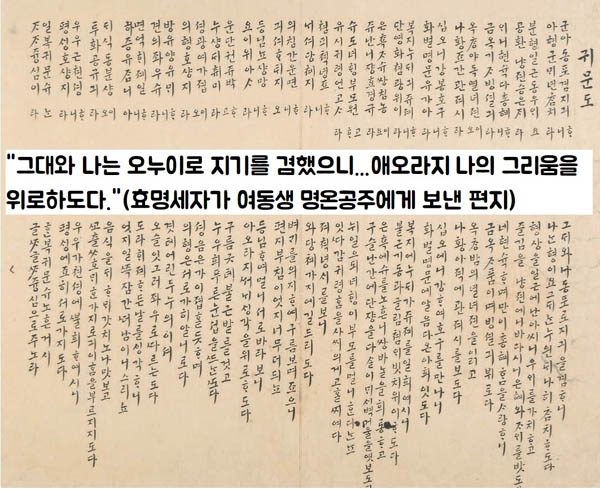 효명 이미지