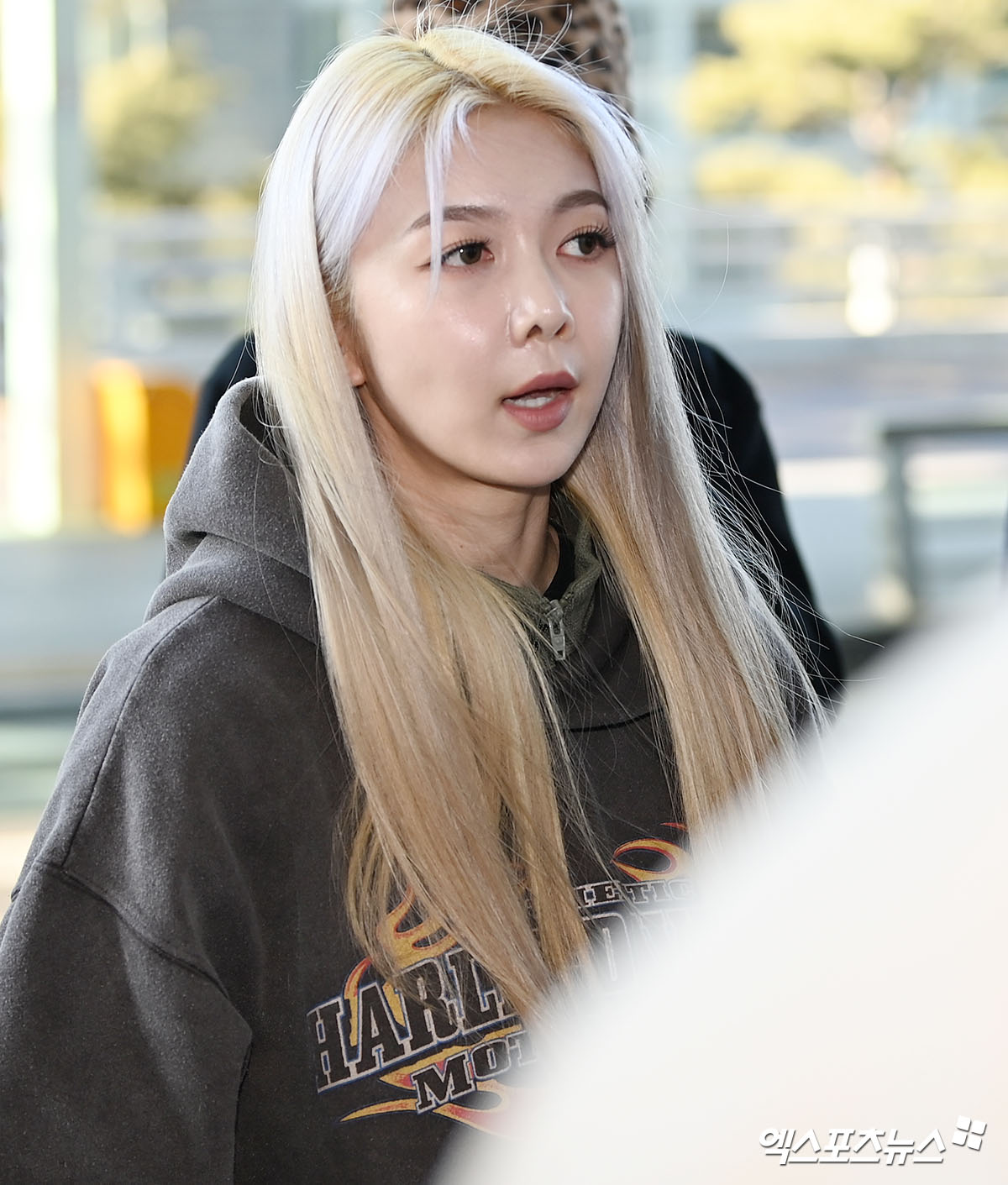 다미 이미지
