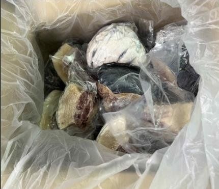 고기상자 이미지