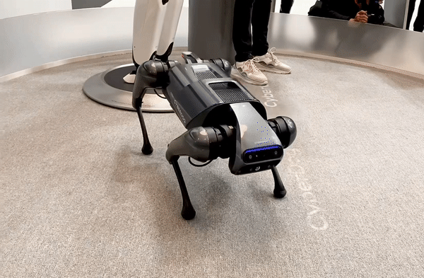 지난 28일(현지시간) 스페인 바르셀로나에서 열린 ‘모바일월드콩그레스(MWC) 2023’ 샤오미 전시관. 관람객들에게 4족 보행 로봇 ‘사이버독’을 시연하던 중 뒤로 엎어지는 모습. [사진=박로명 기자/dodo@]