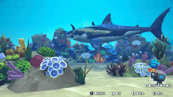 - 물고기 모습은 상당히 리얼리티합니다