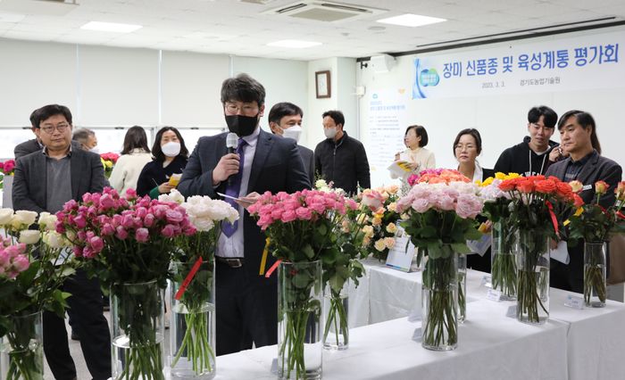 장미유통 이미지