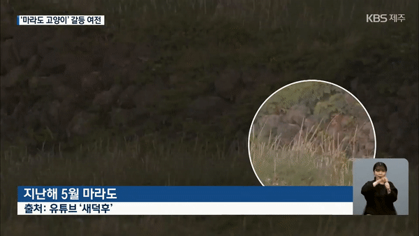 지난달 21일 KBS제주 뉴스9 갈무리